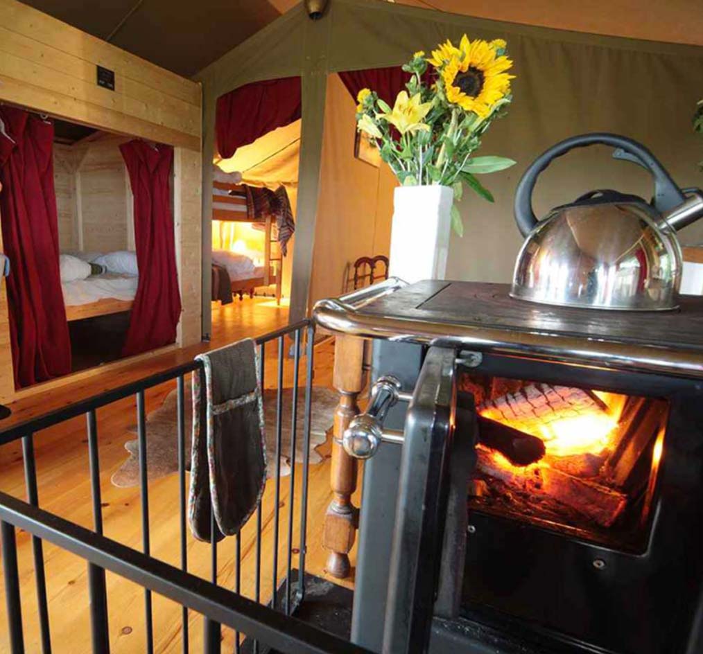 Toms Eco Lodge Availability